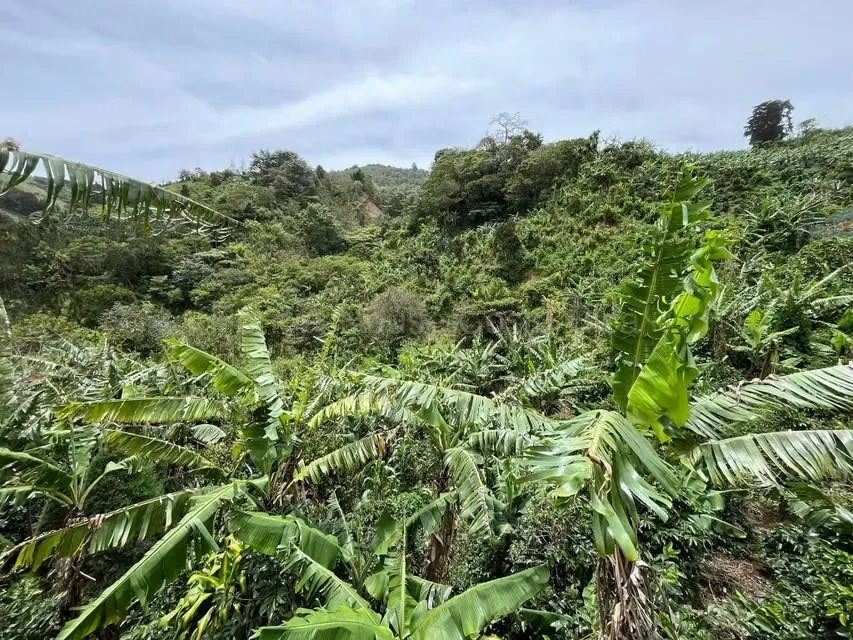 RAH 27-740 MJM An excellent opportunity for those looking for a wide, nature-surrounded land with very good connection to San Jose and Heredia. More than 3000 square mtrs of land and ..., photo 3