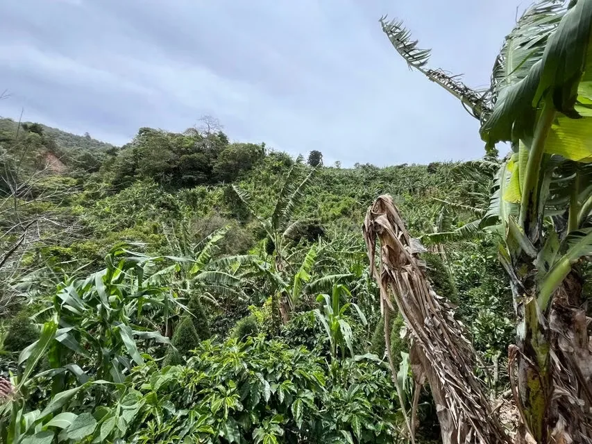 RAH 27-740 MJM An excellent opportunity for those looking for a wide, nature-surrounded land with very good connection to San Jose and Heredia. More than 3000 square mtrs of land and ..., photo 5