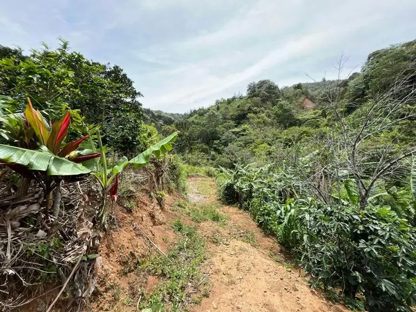 RAH 27-740 MJM An excellent opportunity for those looking for a wide, nature-surrounded land with very good connection to San Jose and Heredia. More than 3000 square mtrs of land and ..., photo 6