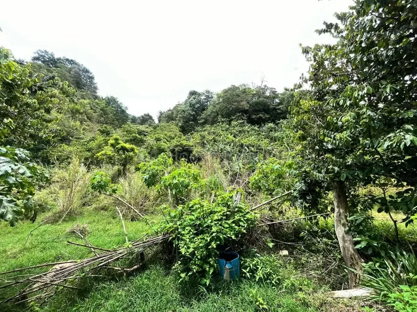 RAH 27-740 MJM An excellent opportunity for those looking for a wide, nature-surrounded land with very good connection to San Jose and Heredia. More than 3000 square mtrs of land and ..., photo 7