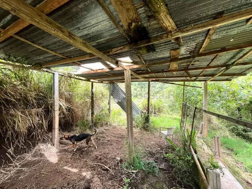 RAH 27-740 MJM An excellent opportunity for those looking for a wide, nature-surrounded land with very good connection to San Jose and Heredia. More than 3000 square mtrs of land and ..., photo 8