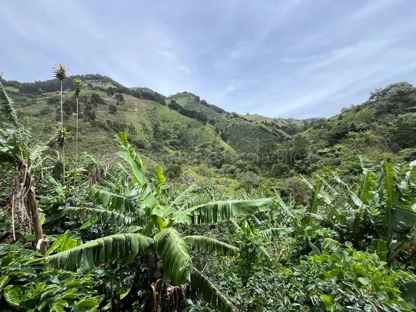 RAH 27-740 MJM An excellent opportunity for those looking for a wide, nature-surrounded land with very good connection to San Jose and Heredia. More than 3000 square mtrs of land and ..., photo 9