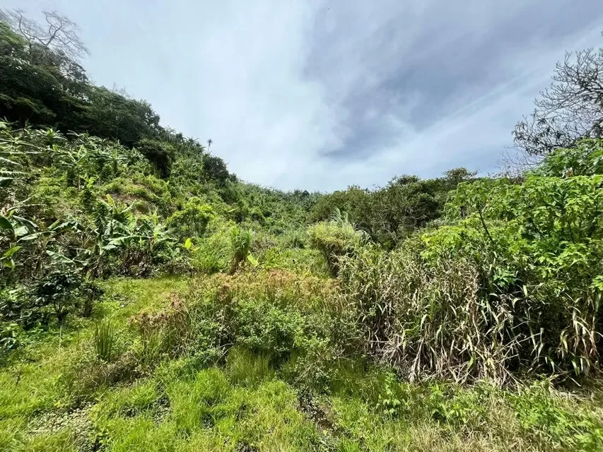 RAH 27-740 MJM An excellent opportunity for those looking for a wide, nature-surrounded land with very good connection to San Jose and Heredia. More than 3000 square mtrs of land and ..., photo 10