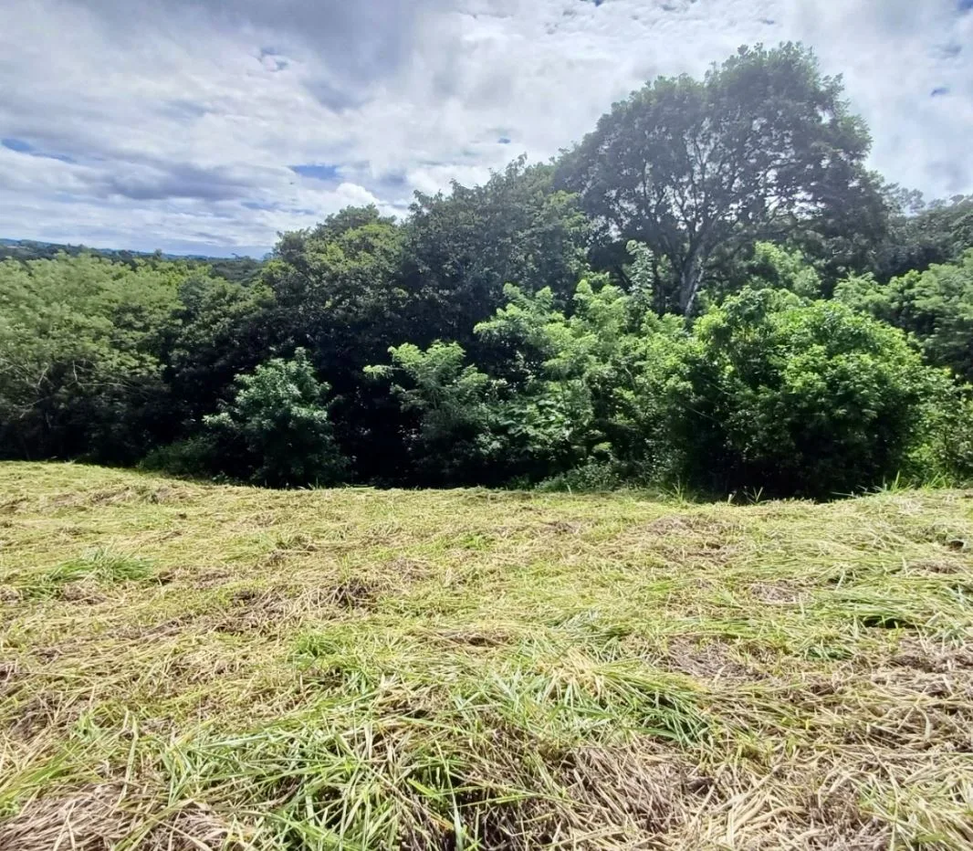 Peaceful Lake View Lot in San Luis, Tilaran, Guanacaste, photo 7