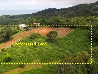 Caracara Ridge Lote 6, Impresionantes vistas a la montaña, Listo para construir, photo 9