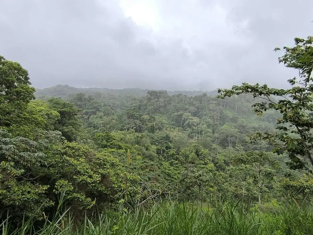 Land for Sale in La Fortuna, Views of the Volcano and Lake, photo 11