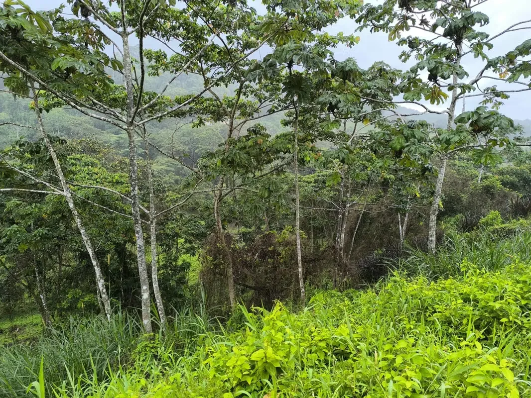 Land for Sale in La Fortuna, Views of the Volcano and Lake, photo 12