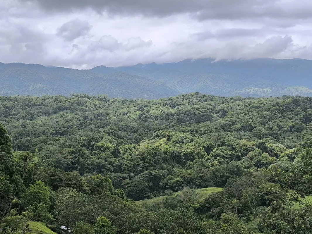 Land for Sale in La Fortuna, Views of the Volcano and Lake, photo 4