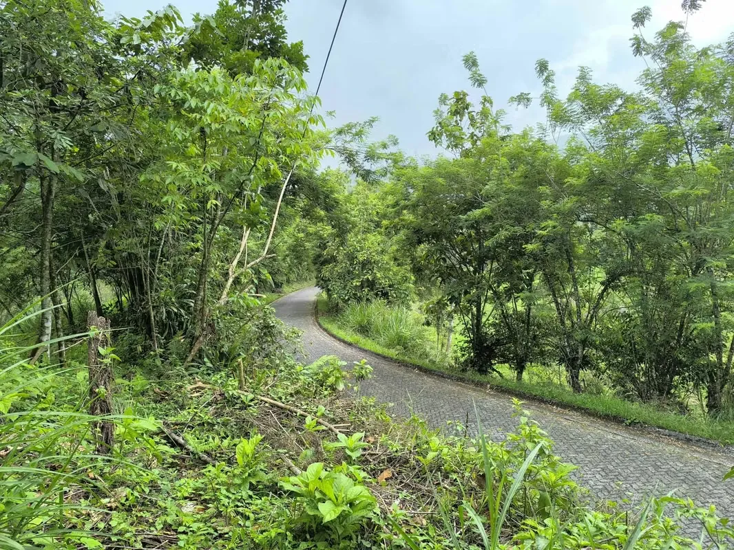 Land for Sale in La Fortuna, Views of the Volcano and Lake, photo 9