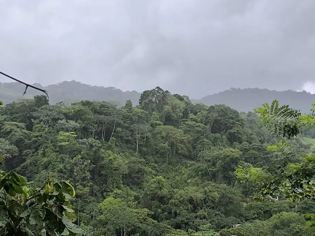 Land for Sale in La Fortuna, Views of the Volcano and Lake, photo 10