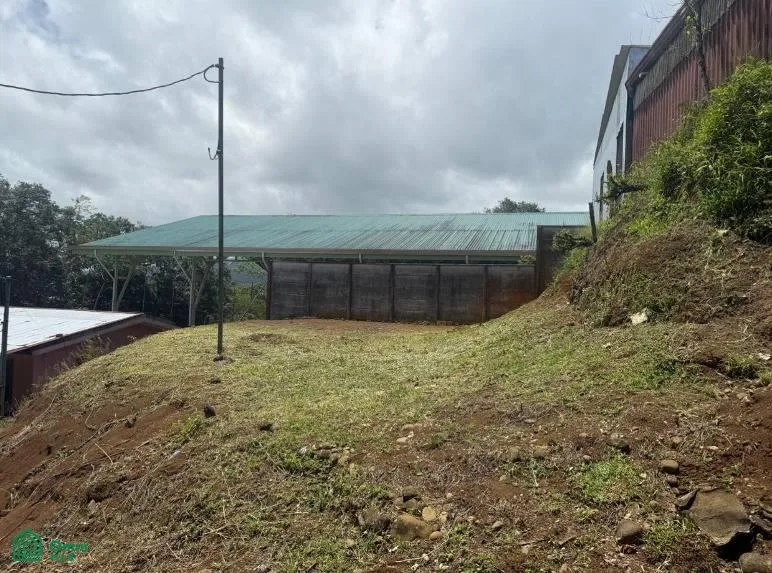 Cedral San Carlos Alajuela
