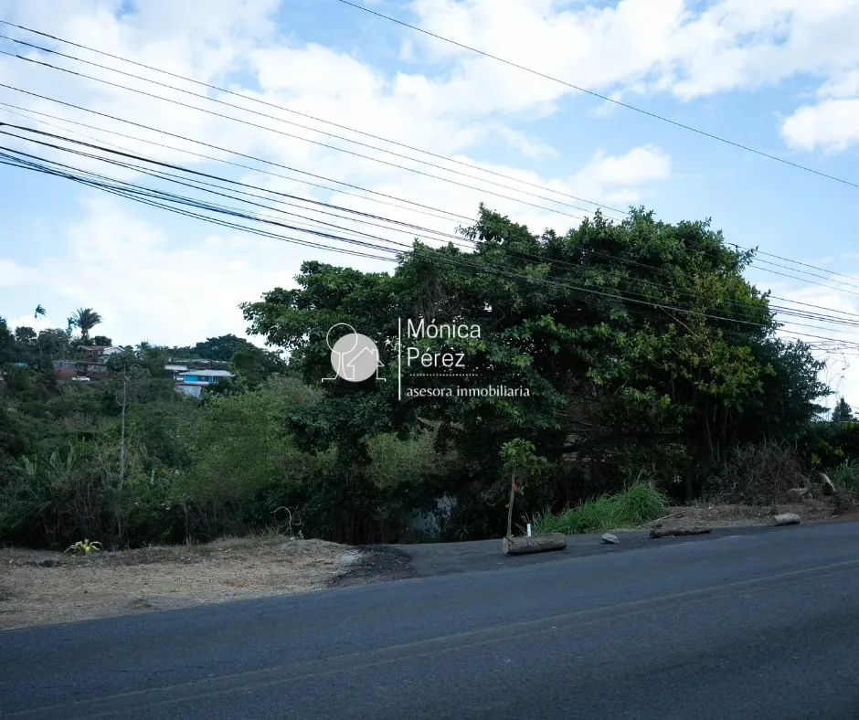 This development is located on a national road in a central area with easy access and high exposure, making it ideal for ..., photo 5