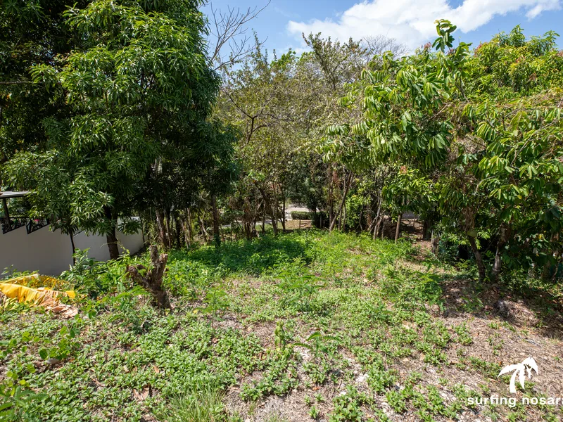 Land For Sale in Nosara, photo 4
