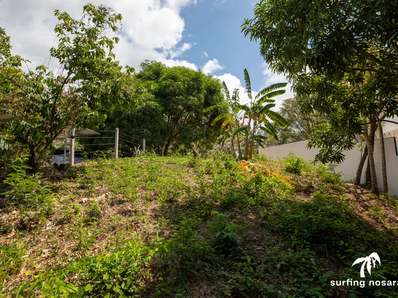 Land For Sale in Nosara, photo 5