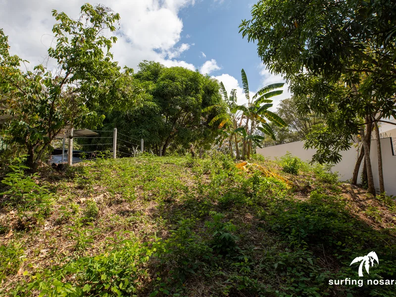 Land For Sale in Nosara, photo 6