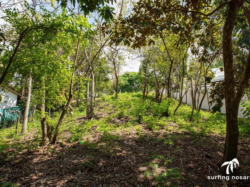 Land For Sale in Nosara, photo 7