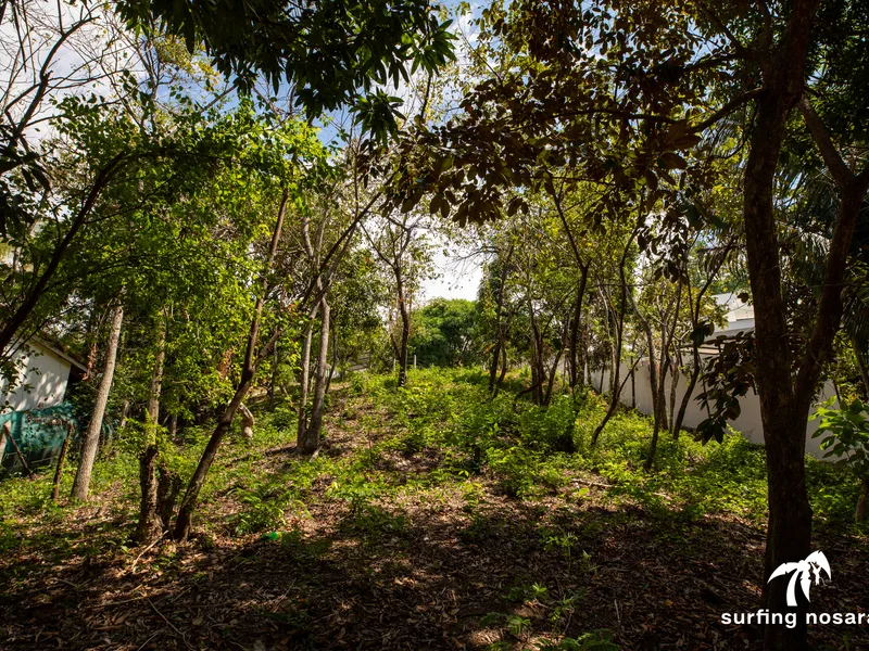 Land For Sale in Nosara, photo 8
