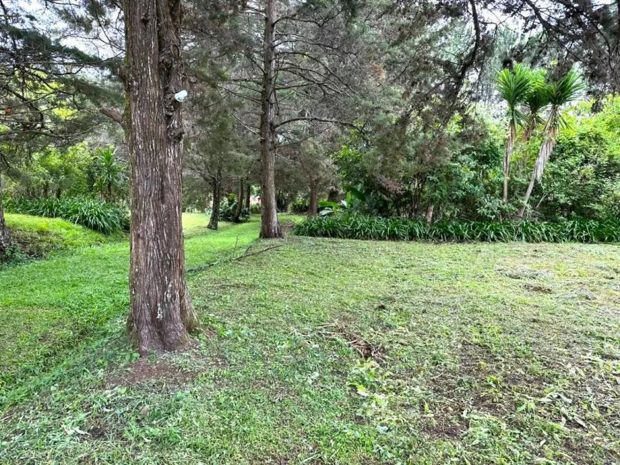 Venta de Lote de 10.599 m2 en San Isidro Heredia Uso Residencial MGA - Alquiler / Renta en San Isidro