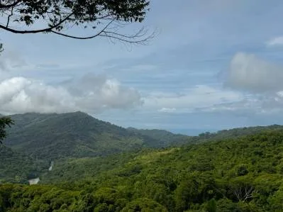 Terreno de lujo rodeado de exuberante selva y bordeado por un arroyo con vista al océano., photo 2