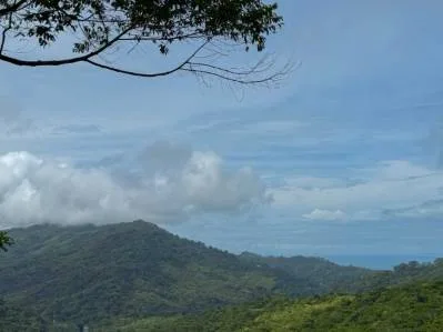 Terreno de lujo rodeado de exuberante selva y bordeado por un arroyo con vista al océano., photo 6