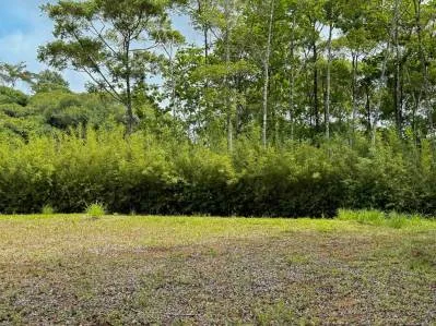 Terreno de lujo rodeado de exuberante selva y bordeado por un arroyo con vista al océano., photo 7