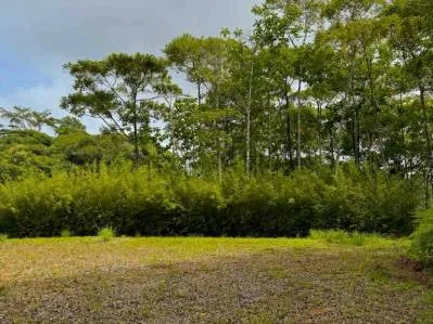 Terreno de lujo rodeado de exuberante selva y bordeado por un arroyo con vista al océano., photo 8