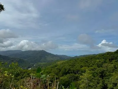 Terreno de lujo rodeado de exuberante selva y bordeado por un arroyo con vista al océano., photo 10