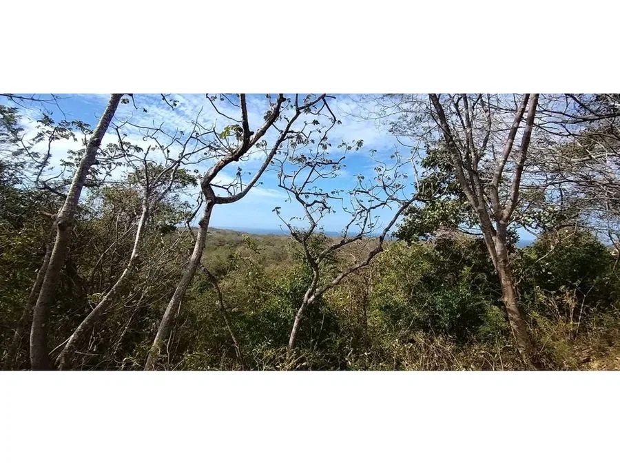 2,4 Hecs lot with ocean views, 10 min to Playa Marbella