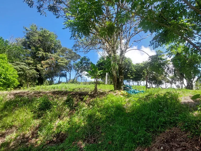 House in La Tejona, photo 13