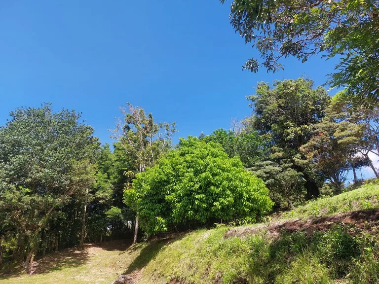 House in La Tejona, photo 15