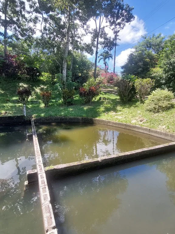 House in La Tejona, photo 7