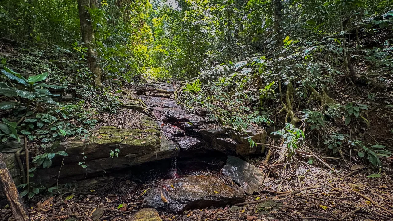 BUILDING PROPERTY WITH PANORAMIC OCEAN AND VALLEY VIEWS, IN SANTA JUANA PLATANILLO – 136 ACRES, photo 19