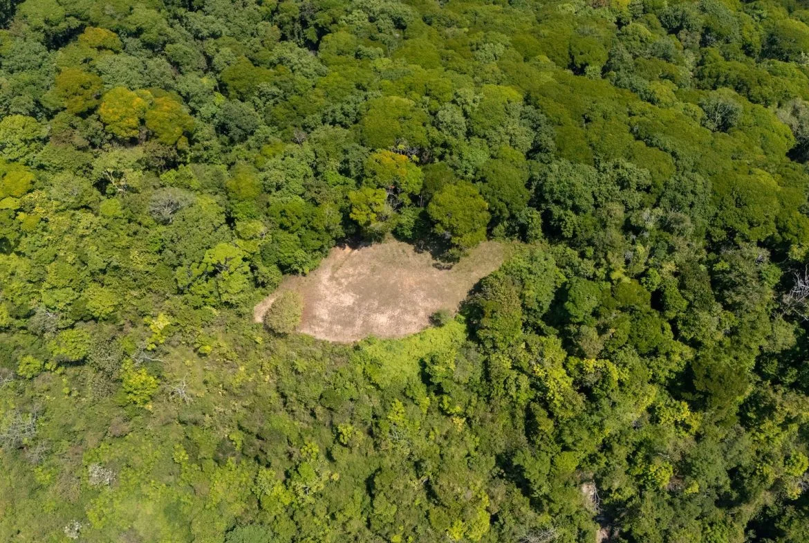 BUILDING PROPERTY WITH PANORAMIC OCEAN AND VALLEY VIEWS, IN SANTA JUANA PLATANILLO – 136 ACRES, photo 4