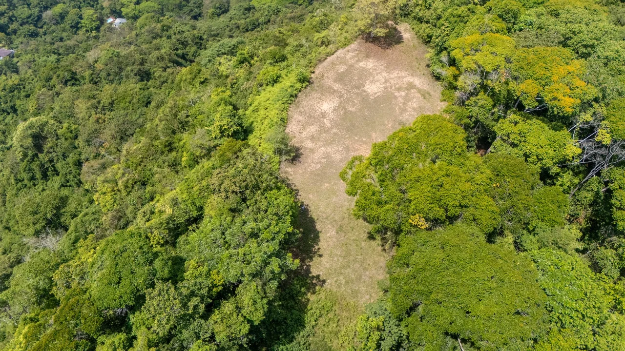 BUILDING PROPERTY WITH PANORAMIC OCEAN AND VALLEY VIEWS, IN SANTA JUANA PLATANILLO – 136 ACRES, photo 5