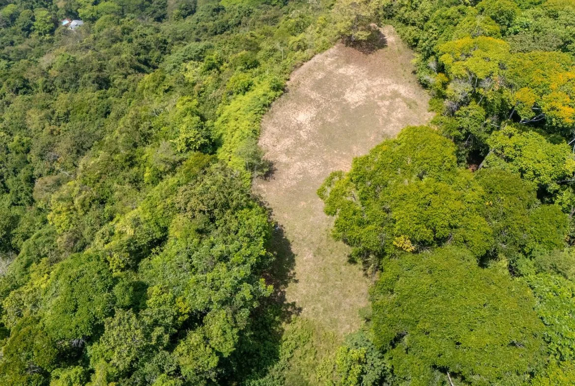 BUILDING PROPERTY WITH PANORAMIC OCEAN AND VALLEY VIEWS, IN SANTA JUANA PLATANILLO – 136 ACRES, photo 6