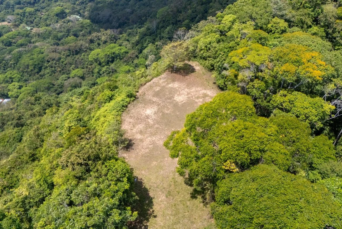 BUILDING PROPERTY WITH PANORAMIC OCEAN AND VALLEY VIEWS, IN SANTA JUANA PLATANILLO – 136 ACRES, photo 8