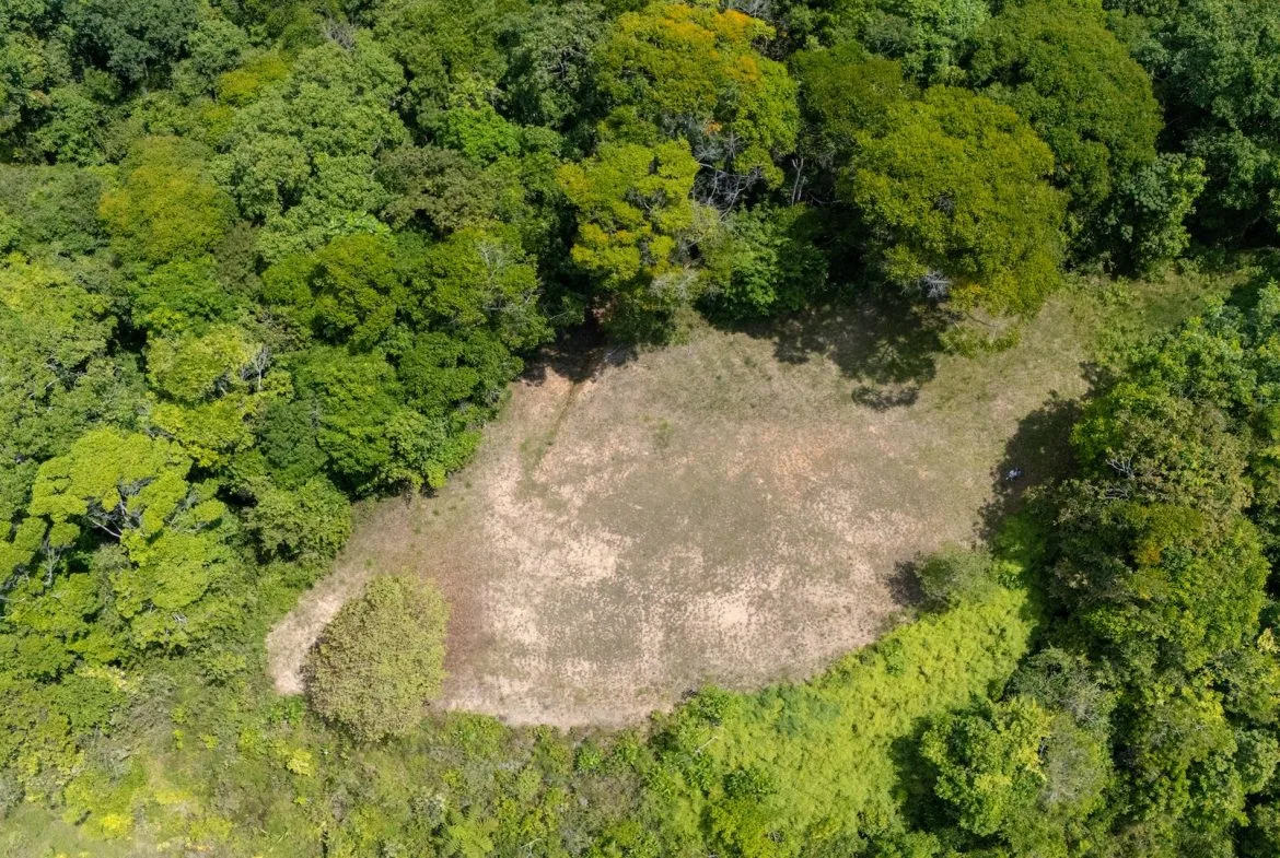 BUILDING PROPERTY WITH PANORAMIC OCEAN AND VALLEY VIEWS, IN SANTA JUANA PLATANILLO – 136 ACRES, photo 10