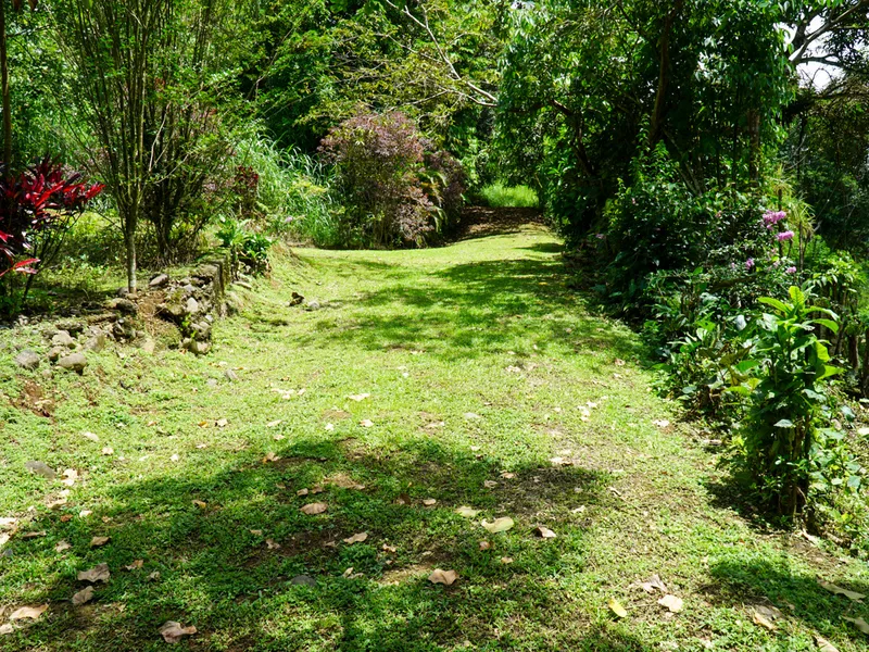 Land For Sale in Perez Zeledon, photo 14