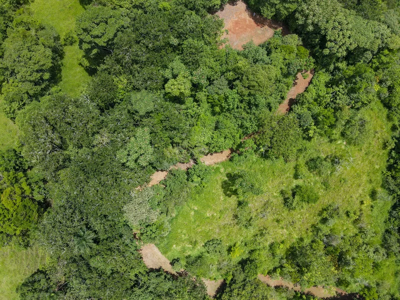 Land For Sale in Perez Zeledon, photo 8