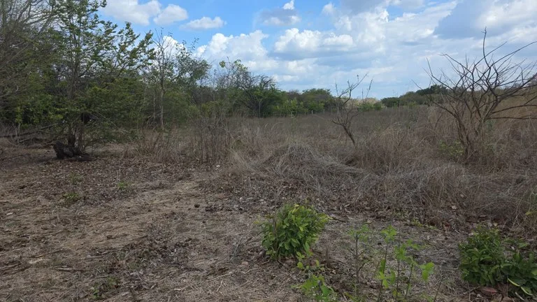 Development Parcel in Liberia