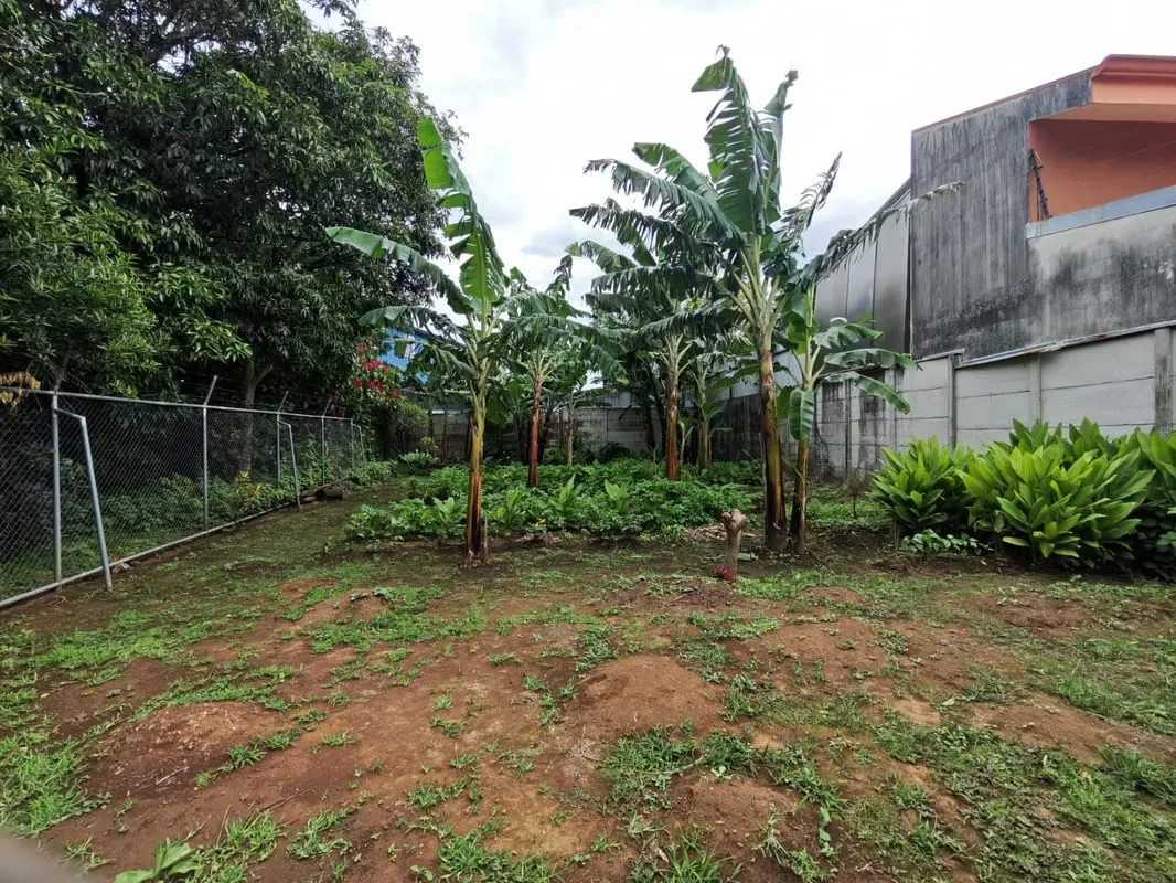 Si busca construir en un vecindario tranquilo, seguro y de ambiente 100% familiar, este lote en San Lorenzo de Heredia es exactamente lo que estaba esperando. Una zona residencial de ...