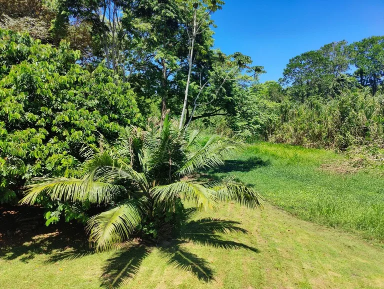 Penshurt Riverside Oasis: Stunning Riverside Property with 2-Bedroom Home and Additional Apartment, photo 11