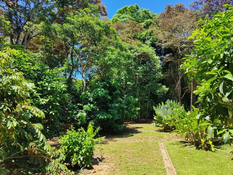 Penshurt Riverside Oasis: Stunning Riverside Property with 2-Bedroom Home and Additional Apartment, photo 8