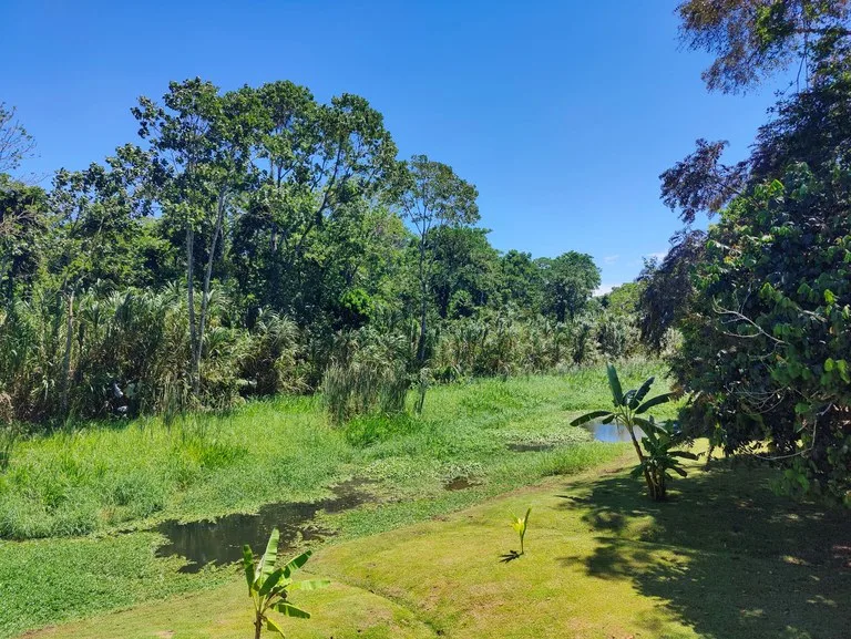 Penshurt Riverside Oasis: Stunning Riverside Property with 2-Bedroom Home and Additional Apartment, photo 10
