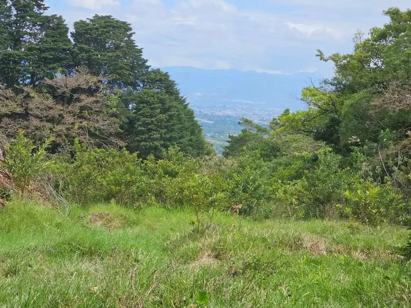 Located just 10 kilometers from the heartbeat of San José, in the cool and privileged mountains of San Isidro de Heredia, lies this unique ..., photo 5