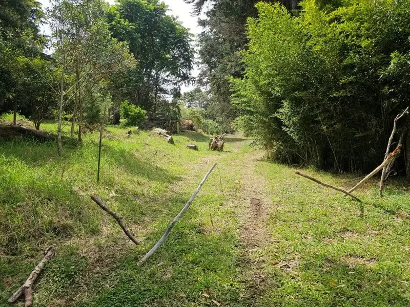 Located just 10 kilometers from the heartbeat of San José, in the cool and privileged mountains of San Isidro de Heredia, lies this unique ..., photo 7