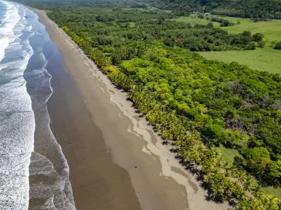 Legado de Finca El sueño de los desarrolladores inmobiliarios, photo 2
