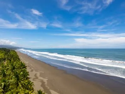 Legado de Finca El sueño de los desarrolladores inmobiliarios, photo 6