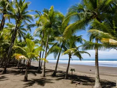 Legado de Finca El sueño de los desarrolladores inmobiliarios, photo 8