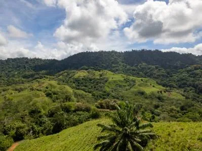 Legado de Finca El sueño de los desarrolladores inmobiliarios, photo 9